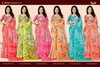 Colour Georgette Vol 2 By Ruchi Soft Georgette Printed Saree Wholesale Online